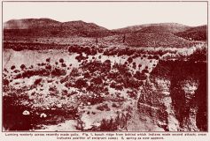 mountainmeadowsp27thumb.jpg (14717 bytes)