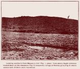 mountainmeadowsp34thumb.jpg (6958 bytes)