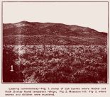 mountainmeadowsp35thumb.jpg (6814 bytes)